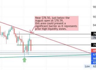 Crude Oil Futures Weekly Forecast: Bears Target $67.75 | Forexlive news-20102024-210349