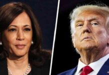 Trump Leads Harris by 2 Points in Wall Street Journal Poll | Forexlive news-25102024-034614