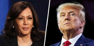 Trump Leads Harris by 2 Points in Wall Street Journal Poll | Forexlive news-25102024-034614