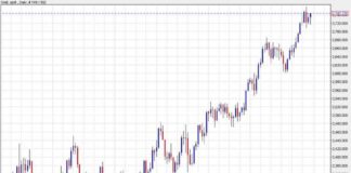 Gold Price Hits Weekly Highs, Set for Record Close | Forexlive news-27102024-100306