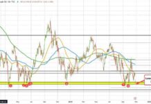 Crude Oil Futures Settle at $67.38 – Latest Update and Analysis news-28102024-222610