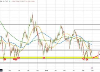 Crude Oil Futures Settle at $67.38 – Latest Update and Analysis news-28102024-222610