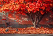 Bank of Canada Governor and Deputy Speaking on Wednesday: What to Expect news-30102024-043800