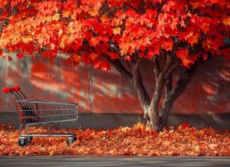 Bank of Canada Governor and Deputy Speaking on Wednesday: What to Expect news-30102024-043800