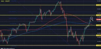 European Inflation Data Takes Center Stage Today | Forexlive news-31102024-074222