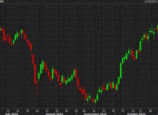Factors Influencing Rising Treasury Yields | Forexlive news-01112024-181901
