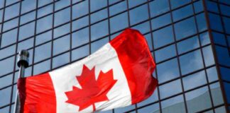 Canadian Dollar Stable as Investors Await GDP Data – Action Forex news-01122024-002059