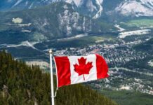 Canadian Jobs Data Impact by Hiring Demand and U.S. Fed Cuts – Action Forex news-02112024-002050