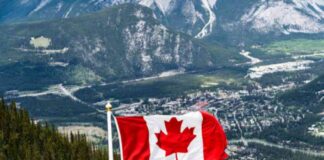 Canadian Jobs Data Impact by Hiring Demand and U.S. Fed Cuts – Action Forex news-02112024-002050