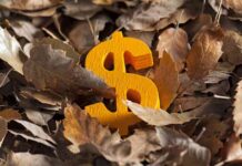 Dollar Dominance Pauses Pre-Election, Upside Potential Remains – Action Forex news-03112024-080735