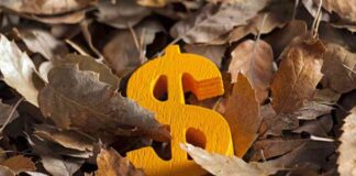 Dollar Dominance Pauses Pre-Election, Upside Potential Remains – Action Forex news-03112024-080735