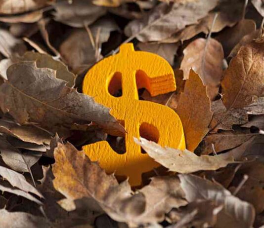Dollar Dominance Pauses Pre-Election, Upside Potential Remains – Action Forex news-03112024-080735
