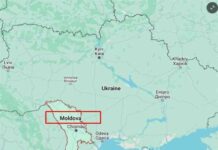 Moldova Election: Pro-Western President Wins 2nd Term Over Russia-Friendly Opponent news-04112024-021408