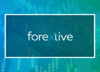 European Equities Stagnant at Market Open | Forexlive news-05112024-111809