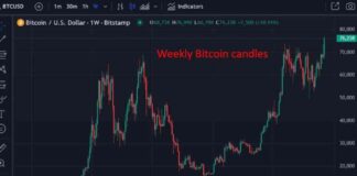 Bitcoin Price Forecast: JP Morgan Predicts 8-Week Rally Due to ‘Trump Trade’ news-08112024-035139