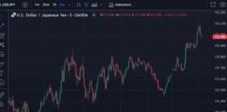 BOJ Rate Hike Timing Debate Boosts USD/JPY – Forexlive news-11112024-034427