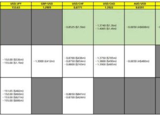FX Option Expiries Analysis: 11 November 10am NY Cut | Forexlive news-11112024-095447