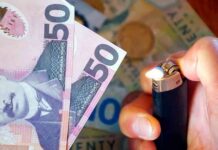 New Zealand Dollar Resilient Despite Stable Inflation Expectations – Action Forex news-11112024-160308