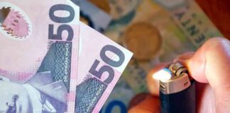 New Zealand Dollar Resilient Despite Stable Inflation Expectations – Action Forex news-11112024-160308