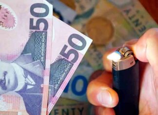 New Zealand Dollar Resilient Despite Stable Inflation Expectations – Action Forex news-11112024-160308