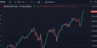 Buffett’s Berkshire Hathaway Cash Hoarding Pre-Financial Crisis Pattern | Forexlive news-12112024-041339