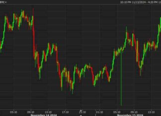 Bitcoin Price Analysis: Cryptocurrency Rallies to End the Week on a High Note news-16112024-162754