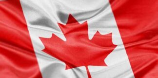 Canada’s CPI Rebounds to 2% in Oct, Services Inflation at Lowest Since Jan 2022 news-19112024-165728