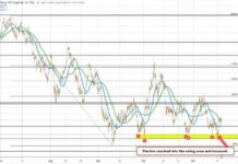 Crude Oil Futures Settle at $69.39: Latest Updates and Analysis news-19112024-230418