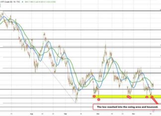 Crude Oil Futures Settle at $69.39: Latest Updates and Analysis news-19112024-230418
