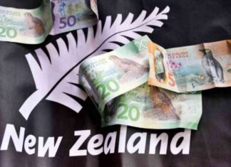 Boost Your Forex Strategy with New Zealand Business Confidence Insights news-28112024-055835