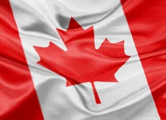 Canada’s Q3 GDP Growth Slows to 0.3%, Per Capita Output Declines for Sixth Consecutive Quarter news-29112024-181322