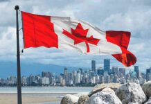 Weekly Forex Market Analysis: ’25 Forecast Without 50s – Actionable Insights weekly-forex-market-analysis-25-forecast-without-50s-actionable-nsights