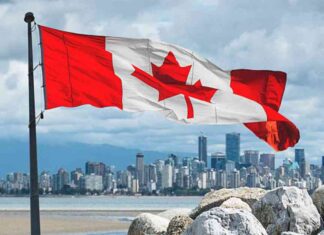 Weekly Forex Market Analysis: ’25 Forecast Without 50s – Actionable Insights weekly-forex-market-analysis-25-forecast-without-50s-actionable-nsights