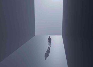 2024 FX Markets Review: Traders Adapt to New Paradigm 2024-fx-markets-review-traders-adapt-to-new-paradigm