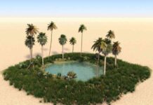 Unveiling Disclosed Trading: A Solution in the FX Liquidity Mirage unveiling-disclosed-trading-a-solution-in-the-fx-liquidity-mirage