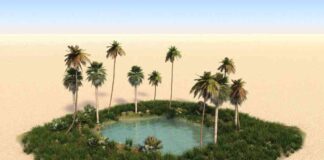 Unveiling Disclosed Trading: A Solution in the FX Liquidity Mirage unveiling-disclosed-trading-a-solution-in-the-fx-liquidity-mirage