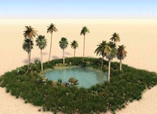 Unveiling Disclosed Trading: A Solution in the FX Liquidity Mirage unveiling-disclosed-trading-a-solution-in-the-fx-liquidity-mirage