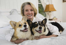 Enhancing Canine Health and Comfort: A Comprehensive Guide for Dog Owners dog bed, dog beds, large dog beds, best dog beds, outdoor dog beds, orthopedic dog beds, chew proof dog bed, raised dog bed, cooling dog bed, heated dog beds