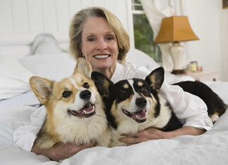 Enhancing Canine Health and Comfort: A Comprehensive Guide for Dog Owners dog bed, dog beds, large dog beds, best dog beds, outdoor dog beds, orthopedic dog beds, chew proof dog bed, raised dog bed, cooling dog bed, heated dog beds